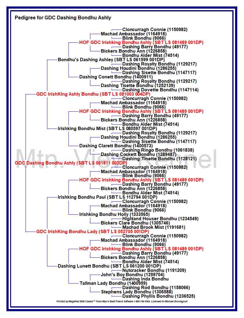 GDC
                  Dashing Bondhu Ashly pedigree